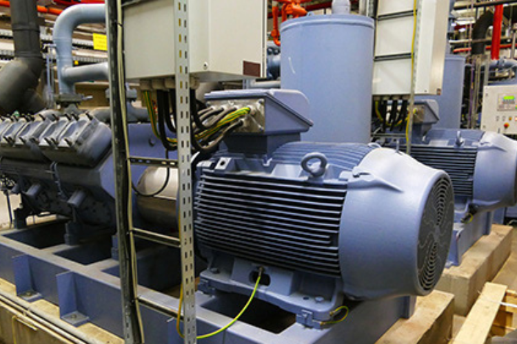 Untitled design - 2025-12-16T144906.127